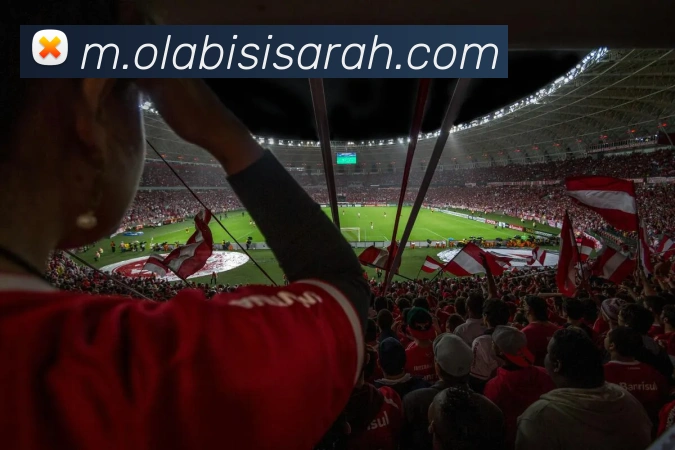 mksports体育APP 封面图